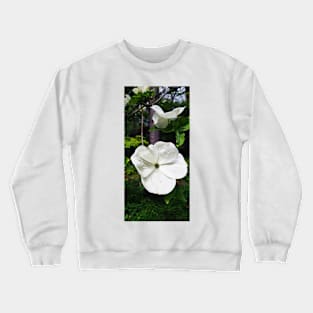 Laeken Park 1 Crewneck Sweatshirt